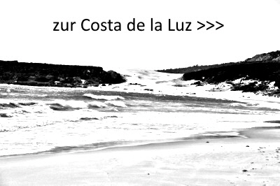 Costa Luz Link